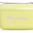 Cooler Retro 20l - Lima com Roxo