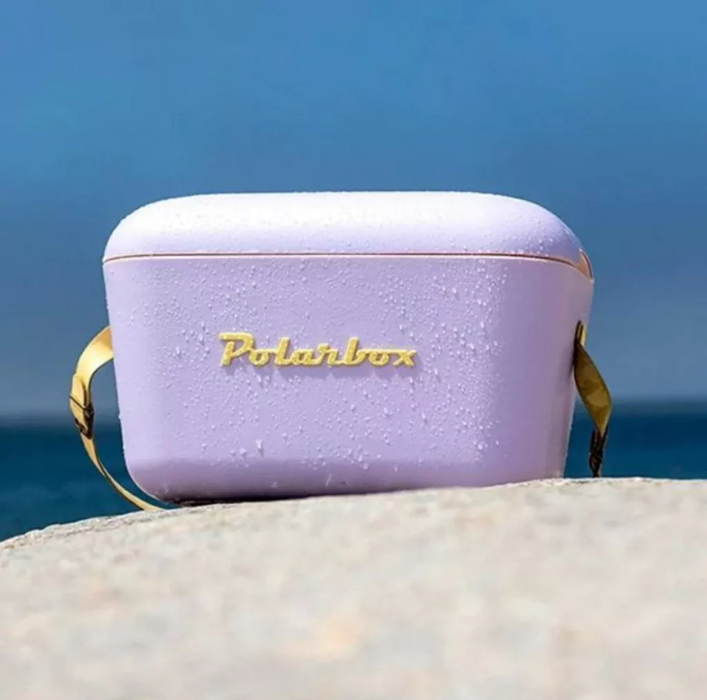 Cooler Retro 20l - Lilás com Alça Marrom