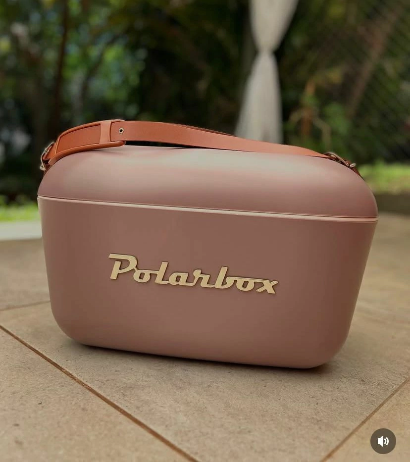 Cooler Retro 20l - Marrom Mauve Gold