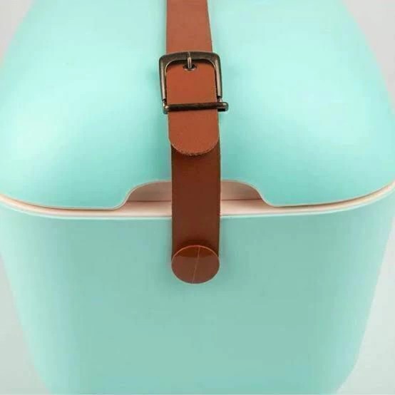 Cooler Retro 12l - Verde Água com Alça Marrom